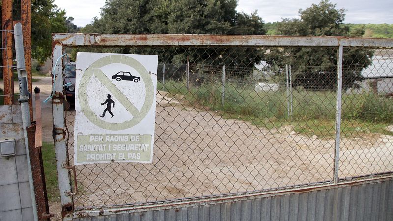 Reclamen la vacunació immediata contra la dermatosi nodular | JOSEP ESTIARTE