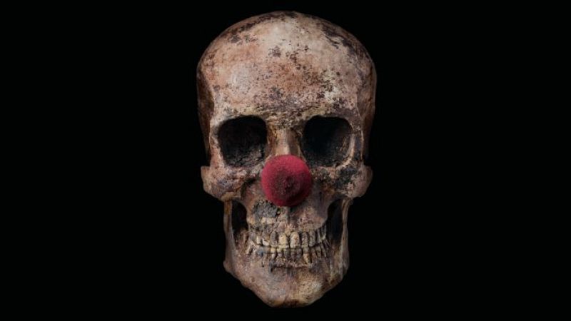 El Festival de Sitges obre amb ‘Alpha’ una edició de luxe amb Cumberbatch, Maura i Gilliam