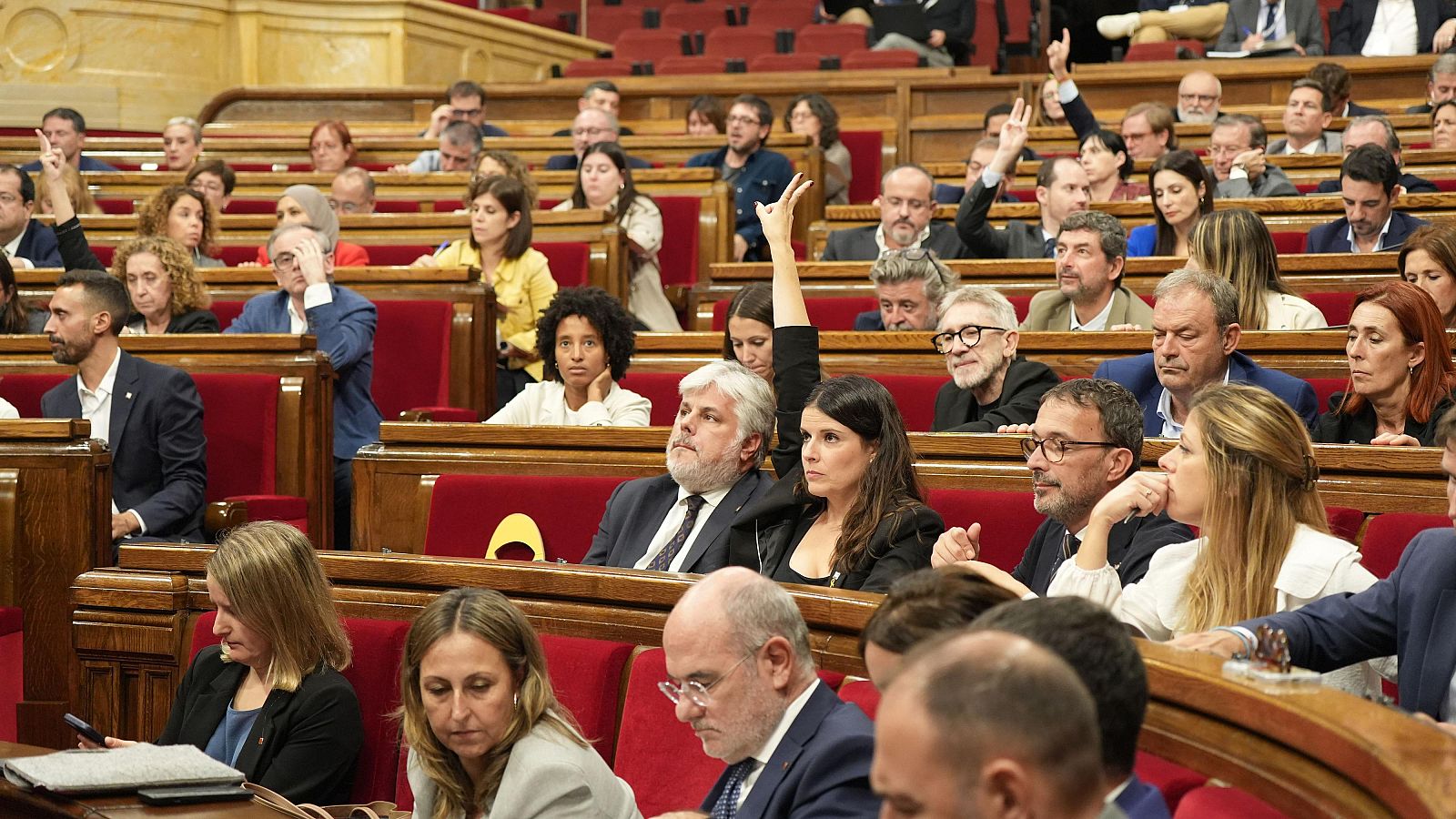 Illa reforça la seva aliança amb els socis | Elena Garcia