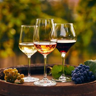 Cultura de la vid. El vino que viene