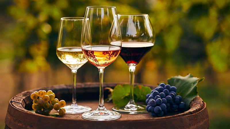 Documentos RNE - Cultura de la vid. El vino que viene -13/10/25