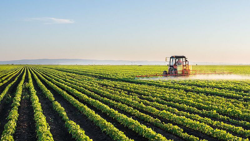 Reacción del sector agrícola a la simplificación de la PAC - Europa abierta | Escuchar