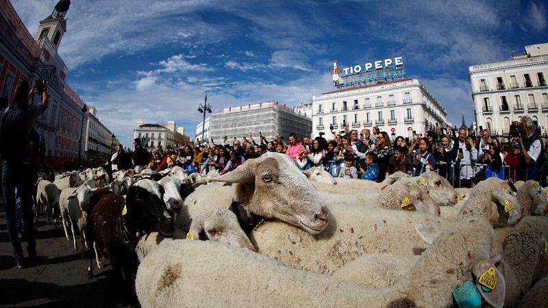 Por los caminos de la trashumancia - Celebrando España | Escuchar
