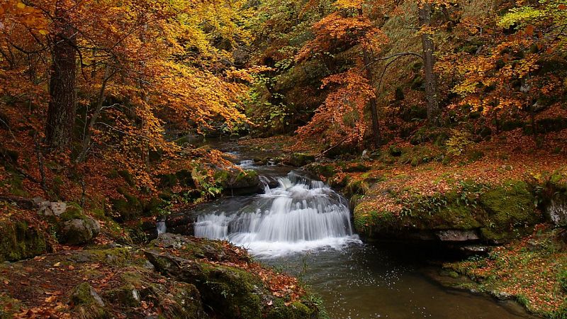 Escapadas - Caminado por el Parque Natural de Sierra Cebollera - 23/10/25 - Escuchar ahora