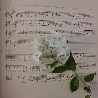 Viashando por el mundo muzikal sefardí: de Grecia a Turquía