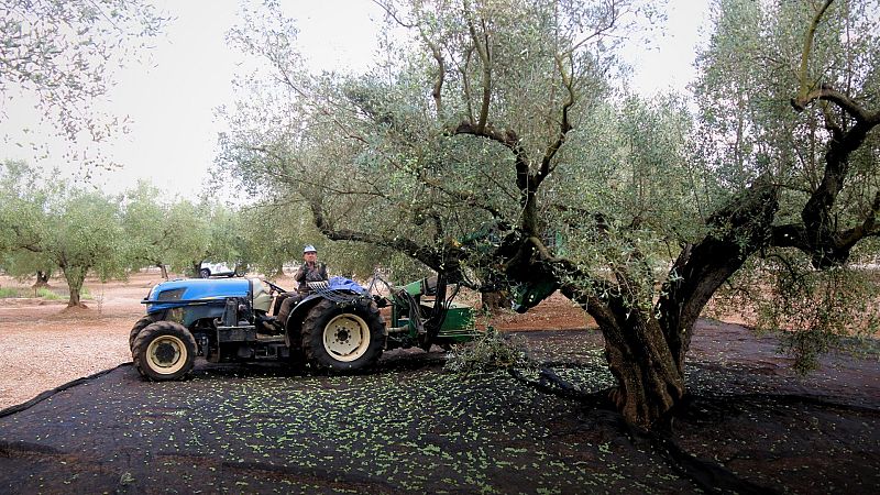 La compravenda de finques rústiques es dispara a Lleida | Pepa Sangenís