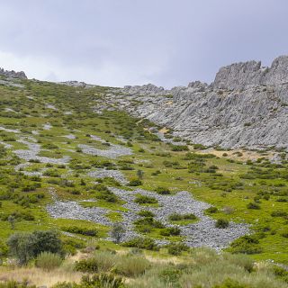 Desafos de futuro en la despoblada Sierra Norte de Guadalajara