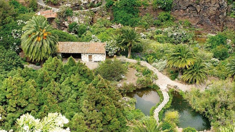 Escapadas - Plantas de la Macaronesia - 09/11/25 - Escuchar ahora