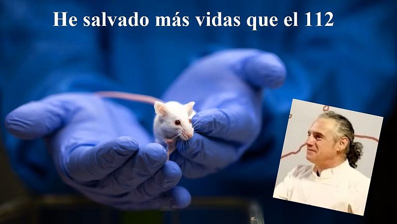 El ratón de laboratorio ha salvado más vidas que el 112 - Escuchar ahora