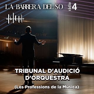 Tribunal d'Audició d'Orquestra (Les Professions de la Música)