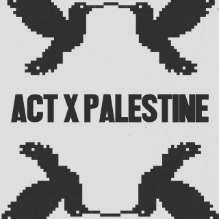 ACTXPALESTINE. Cultura, Debats i futbol per Palestina