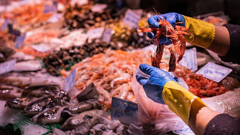 Entrevista lex Goi, president del Gremi de Peixaters de Catalunya - Sn 4 dies | Escuchar