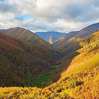 El mayor robledal de Espaa