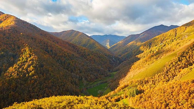 Escapadas - El mayor robledal de España - 20/11/25 - Escuchar ahora