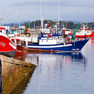 Semana de celebración para el sector de la pesca