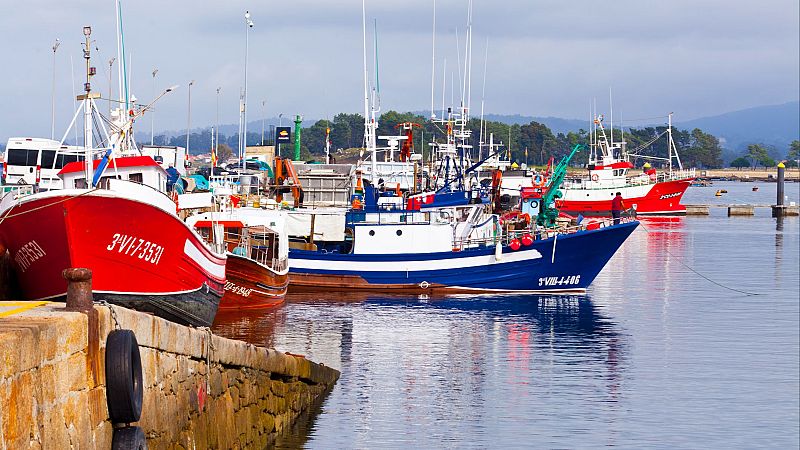Semana de celebración para el sector de la pesca - Españoles en la mar | Escuchar