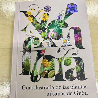 Gijón - Xixón Flora