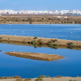 Un rincón donde la sal, la historia y la gastronomía se unen