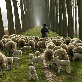 San Sebastián - Artzain Eskola