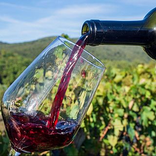 Celebramos el Día Mundial del Vino Tinto