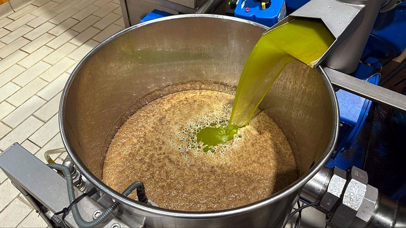 L’oli de les Garrigues arrenca campanya amb preus més baixos i vendes a l’alça