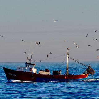 Solicitud a Europa para permitir la pesca en el Mediterráneo