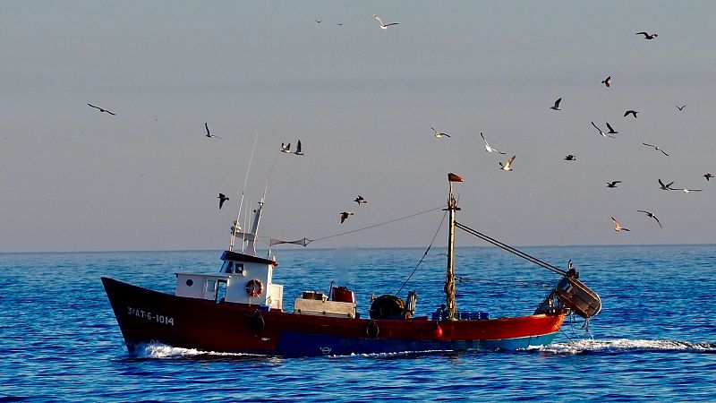 Españoles en la mar - Solicitud a Europa para permitir la pesca en el Mediterráneo - 24/11/2025