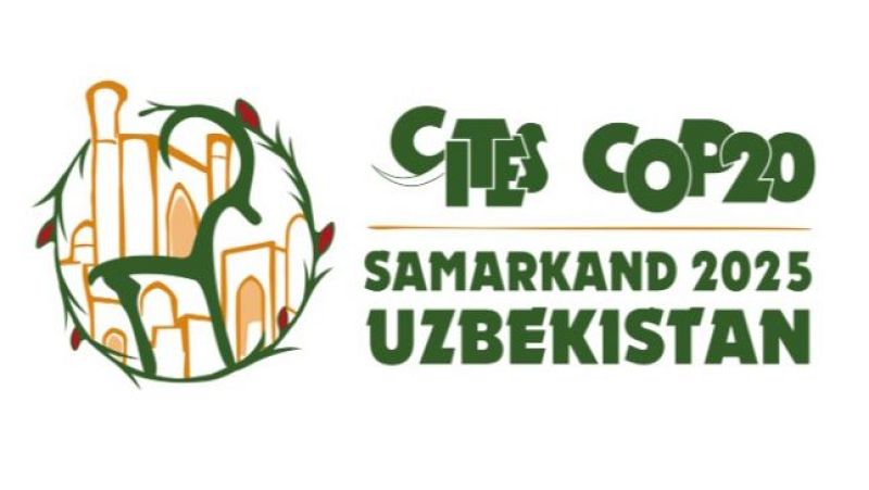 El comercio de especies silvestres en la COP 20 de la CITES - Europa abierta | Escuchar