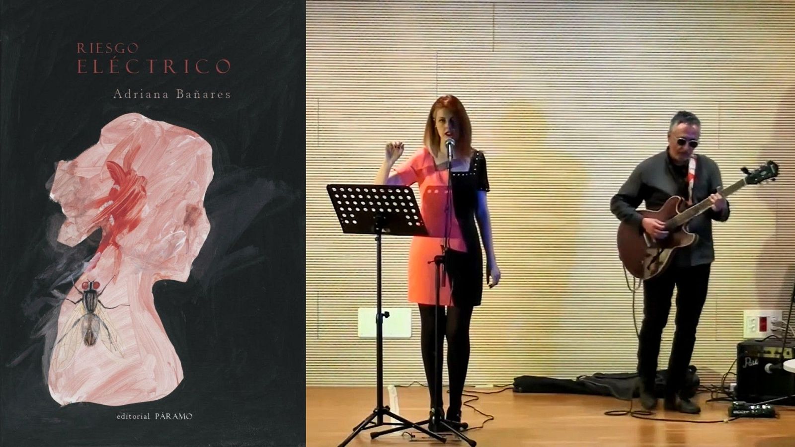 Metaverso - Riesgo elctrico (Adriana Baares, ed. Pramo) - 25/11/24 - Escuchar ahora