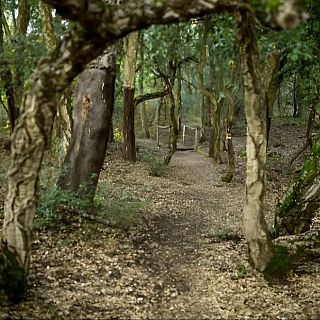 El zofreral de Cobrana