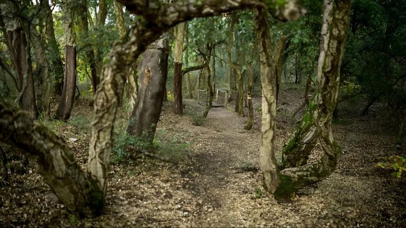 Escapadas - El zofreral de Cobrana - 27/11/25 - Escuchar ahora