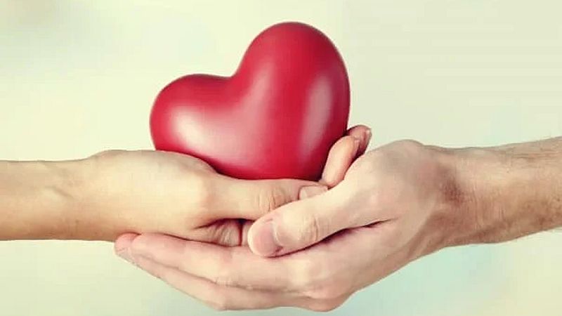 El Pla B - Tercera Hora - El pla B | Escoltar