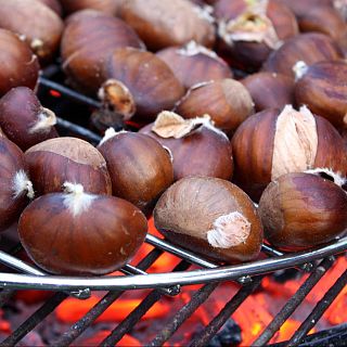 Magosto. La castaña como símbolo de cultura e identidad