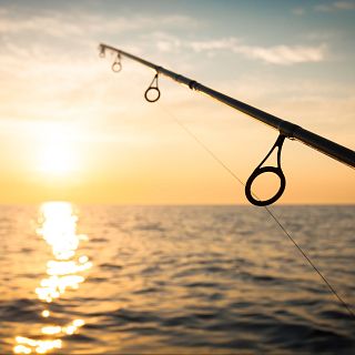 Proyecto pionero para la pesca marítima recreativa en España