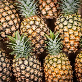 La poca en la que las pias se alquilaban