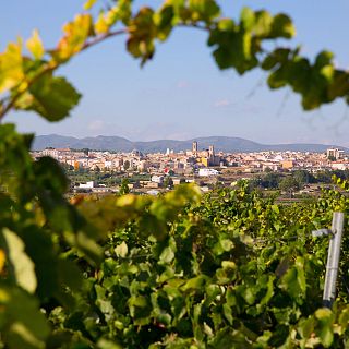 Tierra Bobal, un descubrimiento en el interior de Valencia