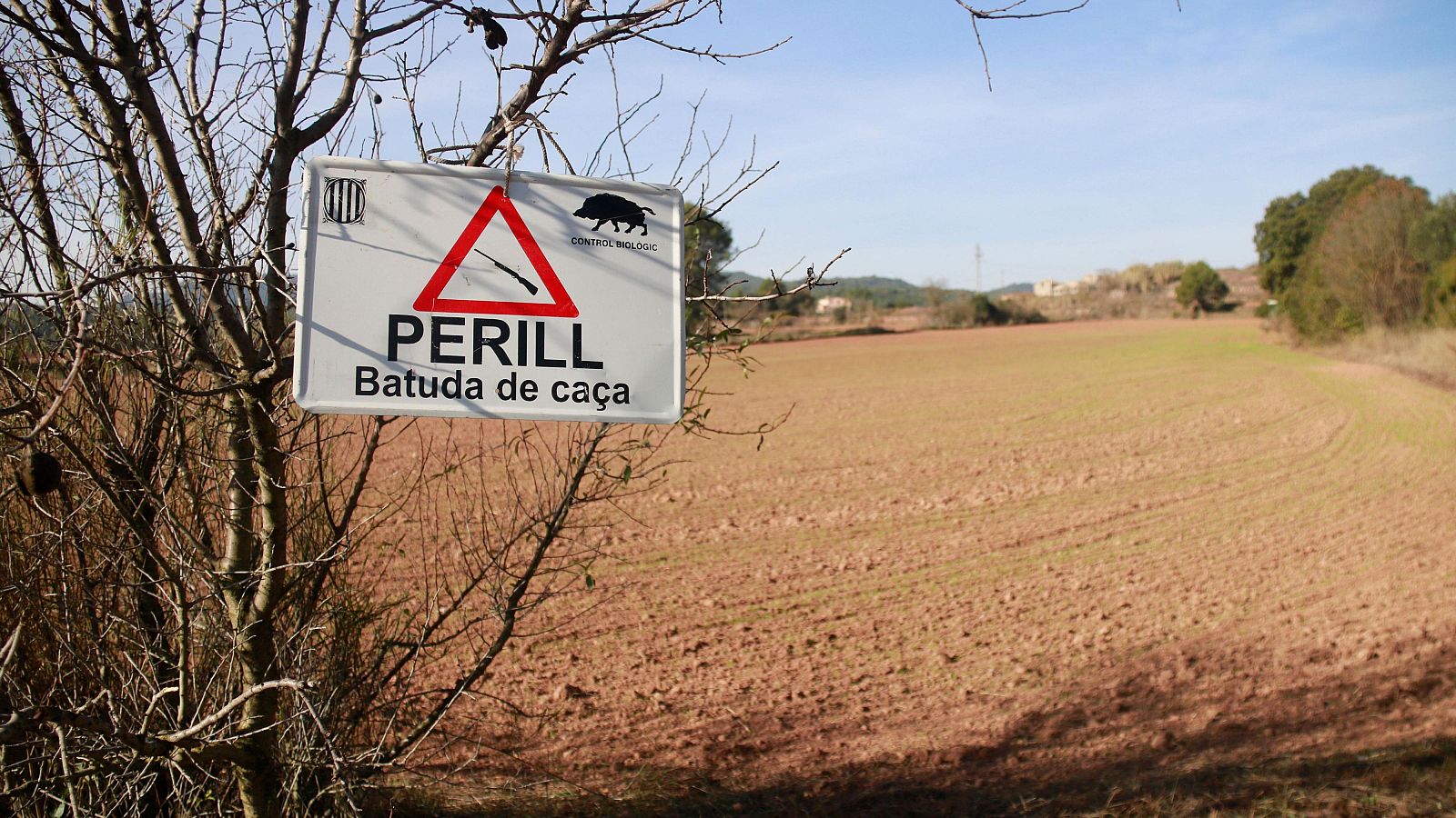 El sector porcí conté la respiració | JUANFRA ÁLVAREZ