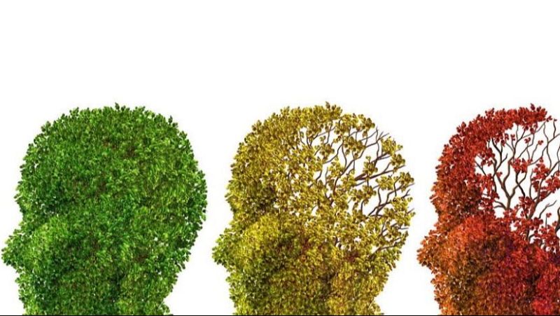 Sapiens - El alzhéimer, con Juan Fortea - 01/12/25 - Sapiens | Escuchar