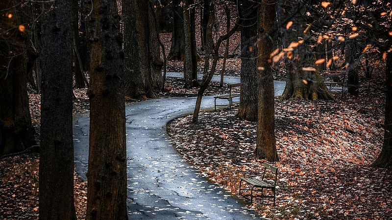 Quinta Fachada - Andar, una herramienta para mejorar las ciudades - Escuchar ahora
