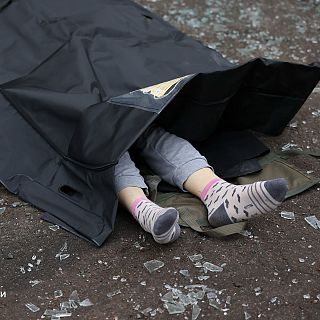 Plan de paz para Ucrania: más incertidumbre que progresos