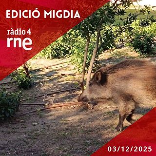 Edició Migdia - 03/12/2025