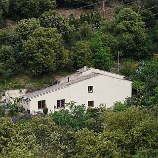 Observatori de la inundabilitat, Collserola, senglars i embalatge per Nadal