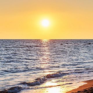 El mar Mediterráneo se está quedando sin omega 3