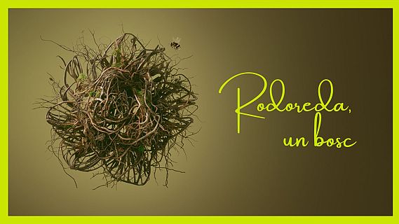 El CCCB explora la radicalitat literària de Mercè Rodoreda