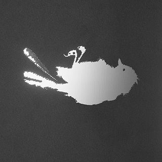 'Cura mi corazón', el disco-homenaje a Triángulo de Amor Bizarro