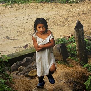 Exposición sobre los usos legales de la hoja de coca en Colombia