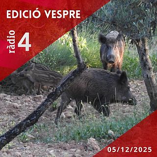 Edici Vespre - 05/12/2025
