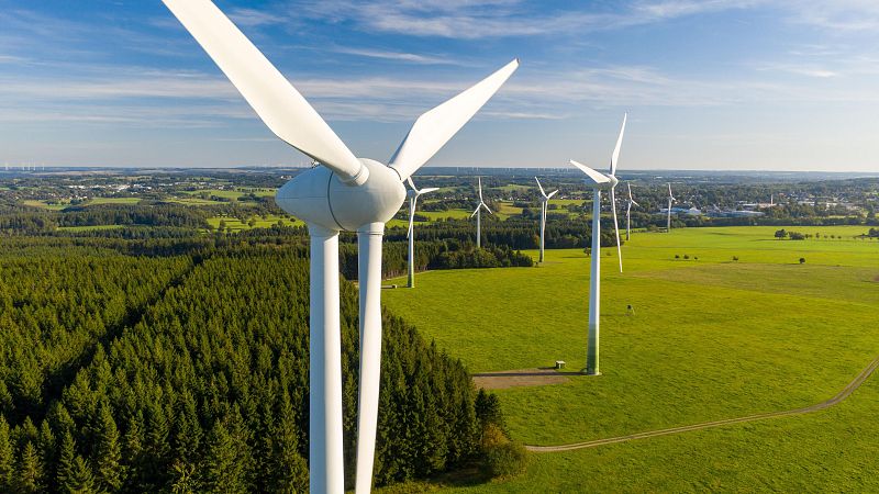 Vida Verda - La Mercantilització del paisatge, joguines de Nadal i una COP30 que defrauda - Vida verda | Escoltar