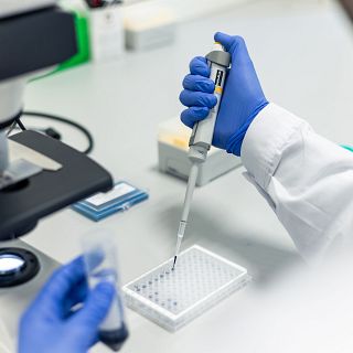 Proteínas capaces de transportar y almacenar electricidad