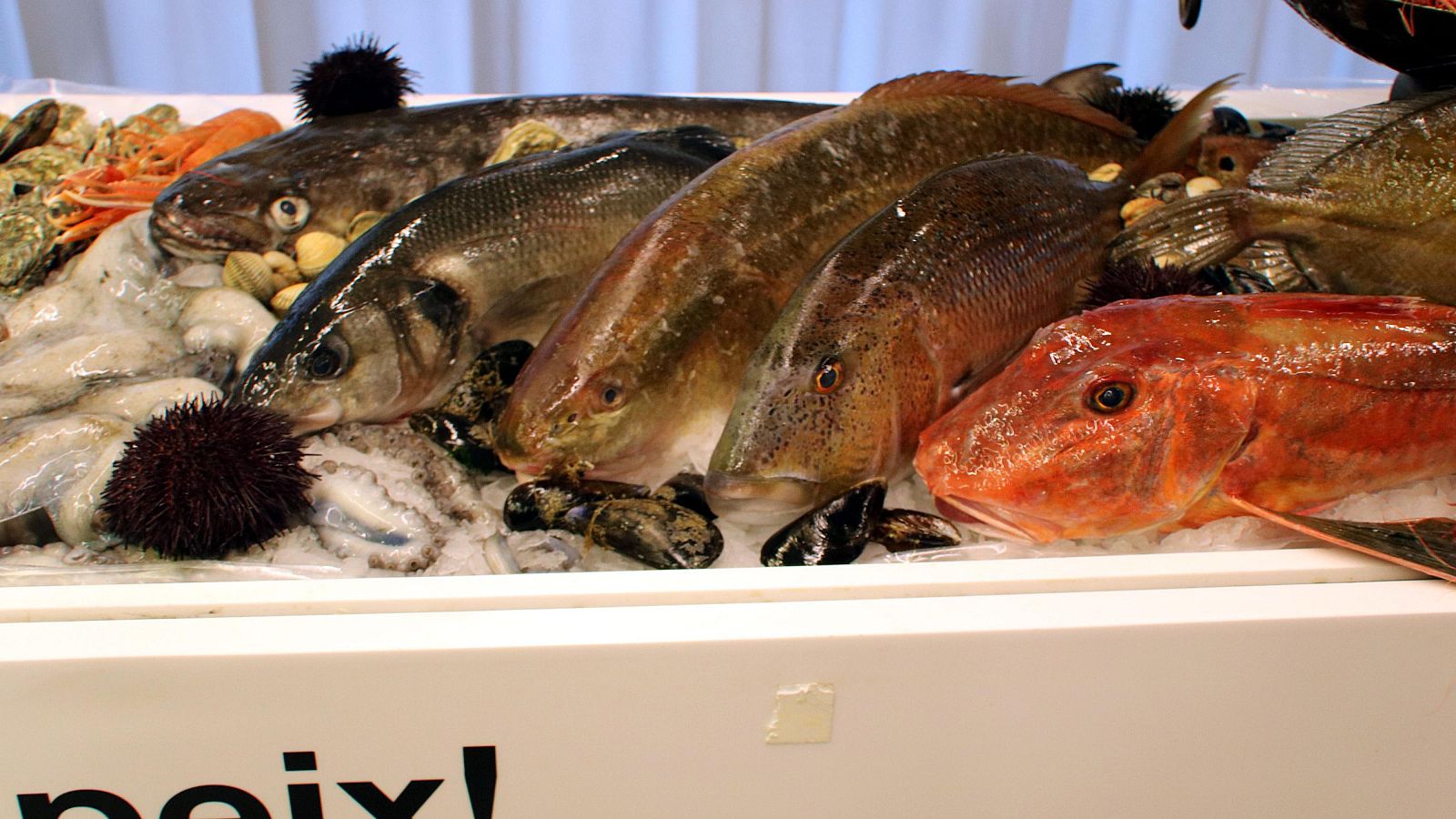 Mercabarna augura un Nadal fort malgrat l'alça de preus | Lola Santiago